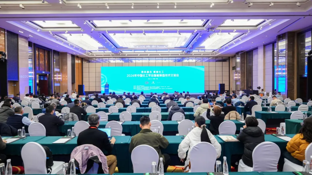 万物向新 秉势而行 | DG视讯股份2024年第四季度动态速览 万物向新 秉势而行 | DG视讯股份2024年第四季度动态速览