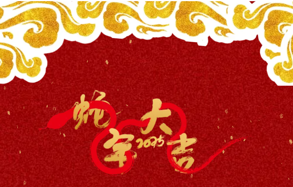 锐意突破 新征启程 | DG视讯股份2025年会盛典顺利召开 锐意突破 新征启程 | DG视讯股份2025年会盛典顺利召开